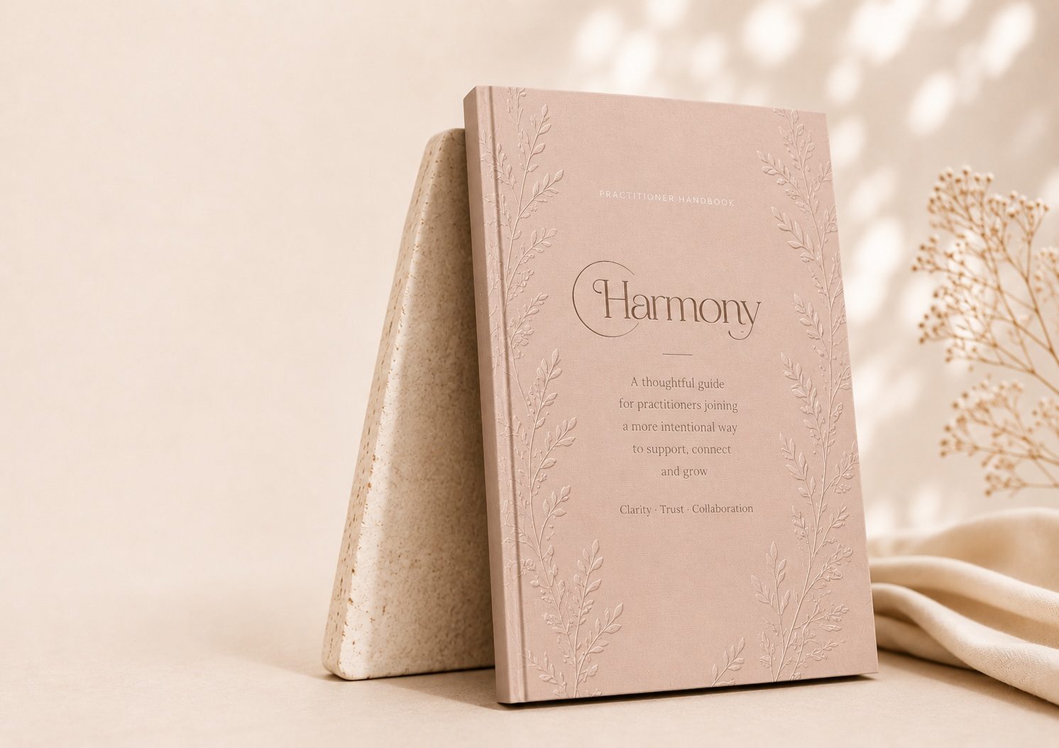 Harmony Practitioner Handbook concept standing beside a sculptural stone